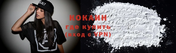 прущие грибы Протвино