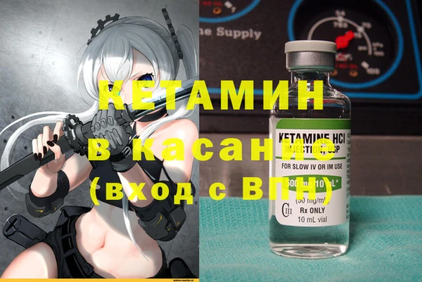 прущие грибы Протвино