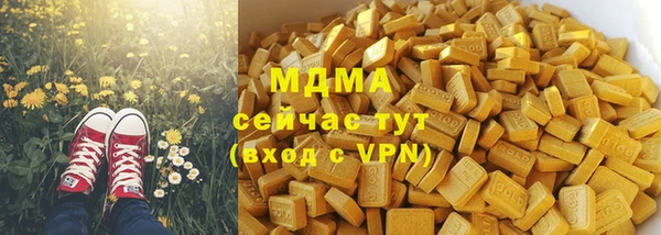 прущие грибы Протвино