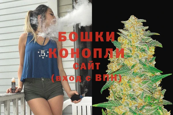 прущие грибы Протвино