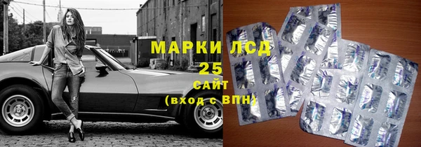 прущие грибы Протвино