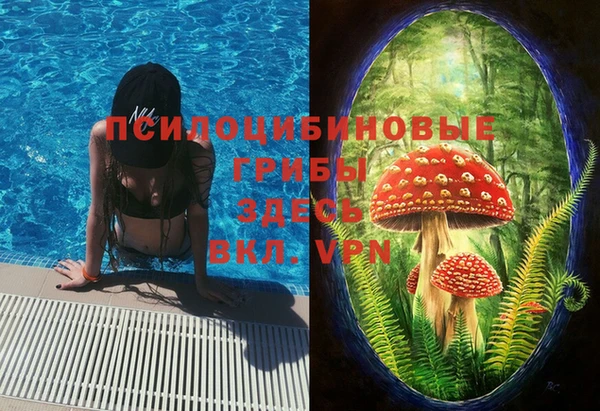 прущие грибы Протвино
