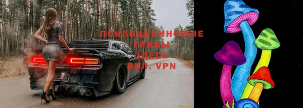 таблы Пролетарск